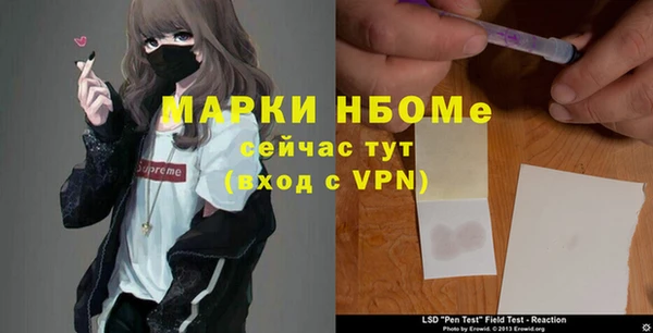 стаф Балахна