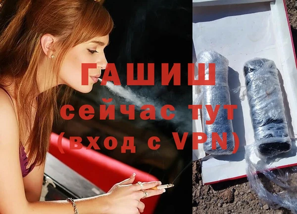 стаф Балахна