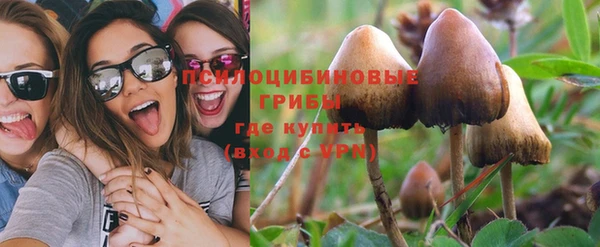 альфа пвп Новокубанск