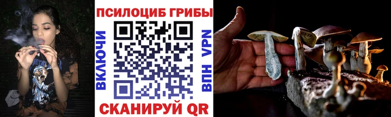 даркнет сайт  Семикаракорск  Галлюциногенные грибы Psilocybe 